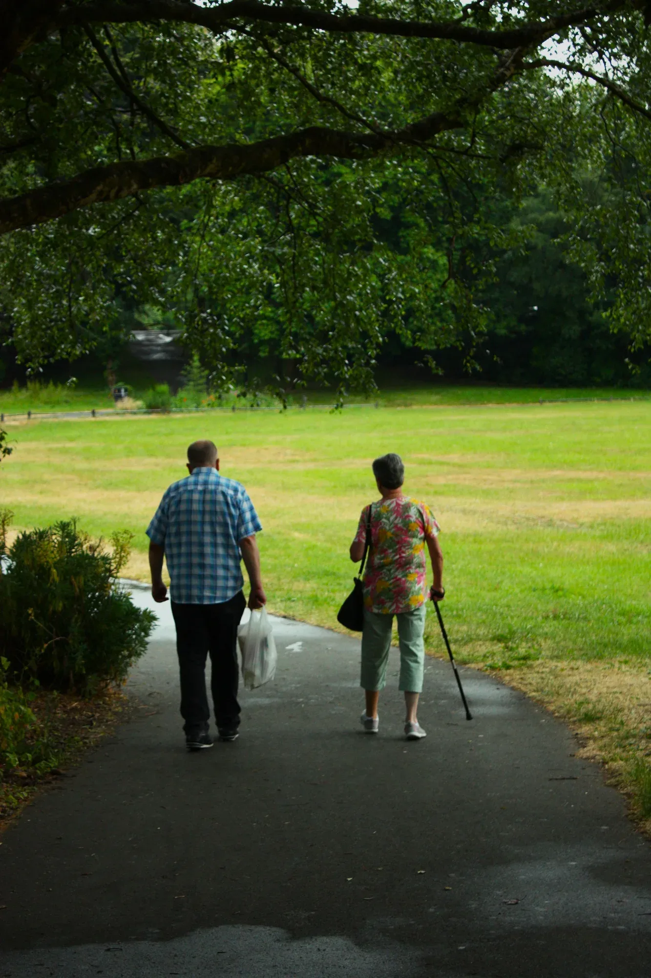 Pareja de adultos mayores caminando por un parque